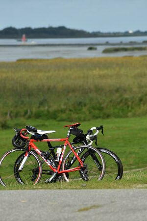 Zwei Fahrräder stehen im Gras.