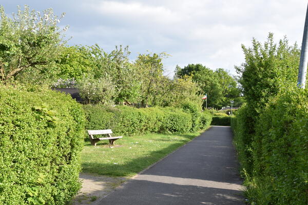 Asphaltierter Weg durch die Kleingartenanlage Heinrich Gadow. Die Kleingärten sind durch Hecken von dem Weg getrennt. Am Weg befindet sich eine Parkbank auf einer kleinen Grasfläche.