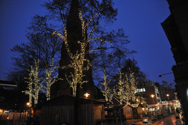 Beleuchtete Bäume rund um die St. Nikolaikirche.