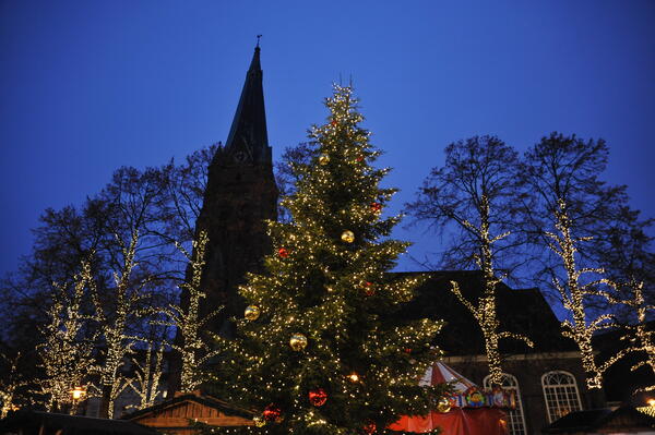 Die geschmückte große Weihnachtstanne steht auf dem Alten Markt in Elmshorn.