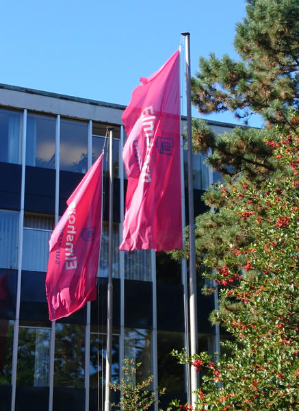 Die Flaggen der Stadtmarke wehen vor dem Rathaus an der Schulstraße.