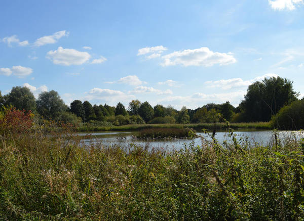 Bild vergr&ouml;&szlig;ern: Wei&szlig;e Wolken am blauen Himmel &uuml;ber dem See im Park.