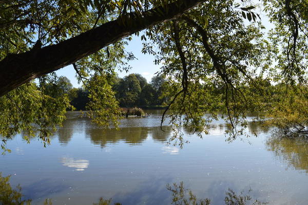 Bild vergr&ouml;&szlig;ern: Wei&szlig;e Wolken spiegeln sich in der ruhigen Seeoberfl&auml;che.