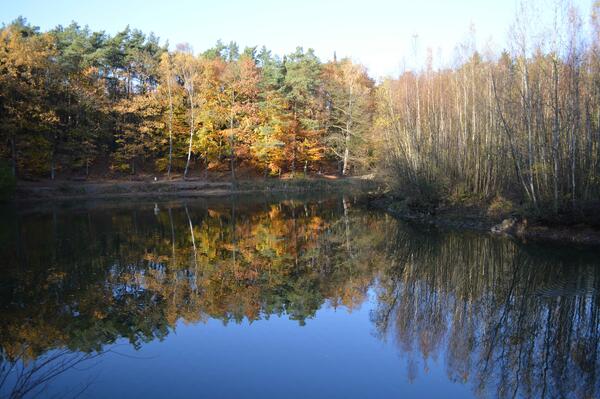 Herbstlich gefärbte Bäume spiegeln sich im See.
