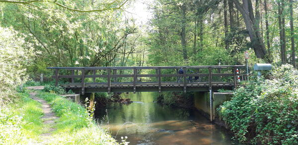 Eine kleine Brücke aus Holz führt an einer romantischen Stelle über die Krückau.