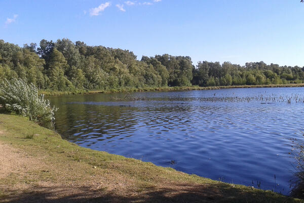 Bild vergr&ouml;&szlig;ern: Ein See liegt im Naherholungsgebiet.