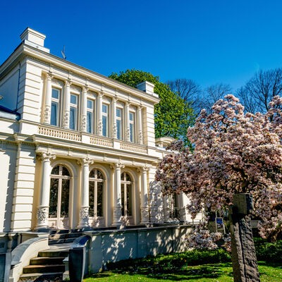 Die Fassade der imposanten Villa strahlt in der Sonne. Im Vorgarten steht ein gro&szlig;er Baum.