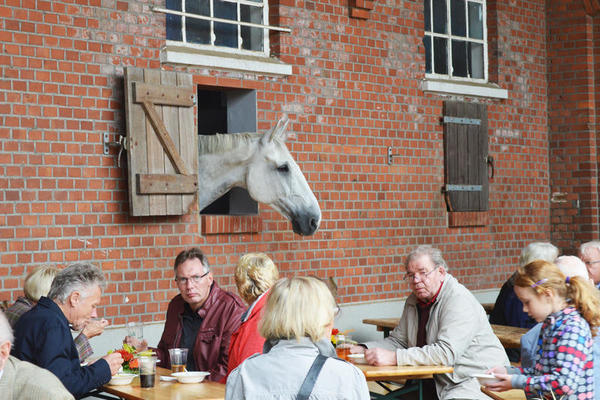 Bild vergr&ouml;&szlig;ern: Verschiedene Reitvereine bieten ein abwechslungsreiches Programm. Besucher sitzen an Bierb&auml;nken, die Pferde schauen zu.