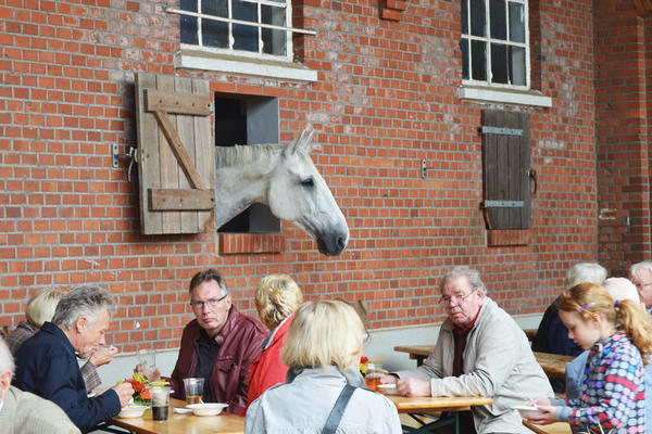 Verschiedene Reitvereine bieten ein abwechslungsreiches Programm. Besucher sitzen an Bierbänken, die Pferde schauen zu.