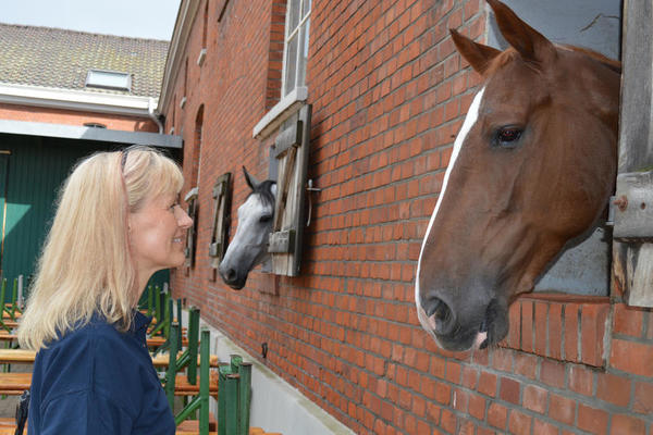 Verschiedene Reitvereine bieten ein abwechslungsreiches Programm in der Fritz-Thiedemann-Halle. Eine Mitarbeiterin der Stadtverwaltung schaut sich die Pferde an.
