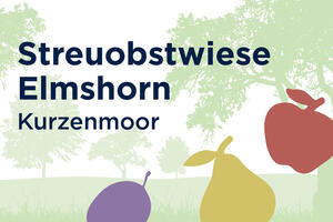 Bild vergr&ouml;&szlig;ern: Grafik: Silhouetten von Obst mit einer stilisierten Streuobstwiese im Hintergrund.