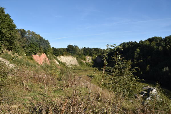 Bild vergr&ouml;&szlig;ern: Die Kalkgrube ist gr&uuml;n bewachsen, an den Gesteinsformationen sind verschiedene geologische Gesteinsschichten sichtbar.