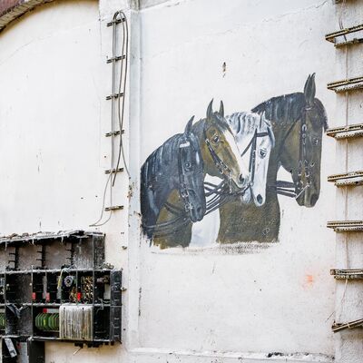 Das Bild zeigt vier verschiedene, gemalte Pferdek&ouml;pfe auf einer wei&szlig;en Geb&auml;udewand. Daneben sind unter anderem alte Installationsvorrichtungen f&uuml;r eine Stromversorgung zu erkennen.