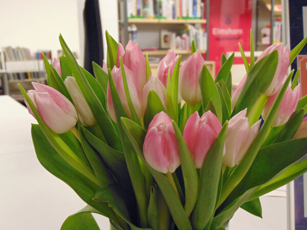 Bild vergr&ouml;&szlig;ern: Ein Strau&szlig; rosafarbene Tulpen, im Hintergrund B&uuml;cherregale.