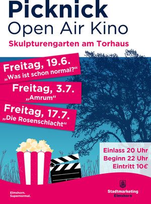 Bild vergr&ouml;&szlig;ern: Das Plakat zum Picknick Open Air Kino 2026 mit drei Terminen am 19. Juni, 3. und 17. Juli