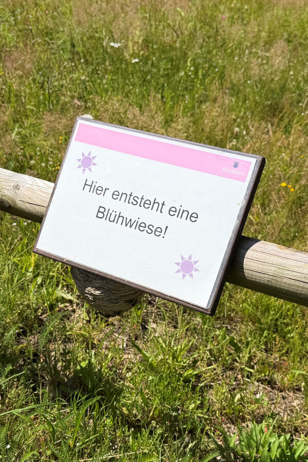 Bild vergr&ouml;&szlig;ern: Ein Schild mit der Aufschrift "Hier entsteht eine Bl&uuml;hwiese" an einem Zaun. Unten am Schild befindet sich ein Wespennest.