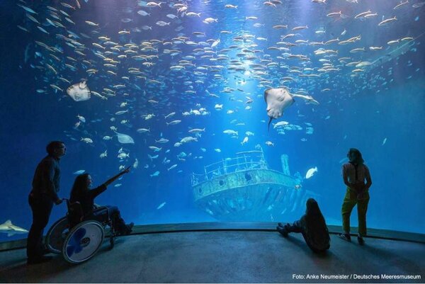 Bild vergr&ouml;&szlig;ern: Vier Personen, eine von ihnen im Rollstuhl, stehen beziehungsweise sitzen vor einem riesigen Aquarium mit Rochen und anderen Fischen.