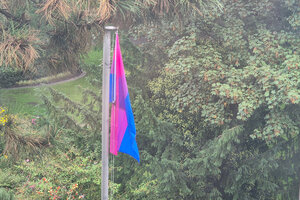 Bild vergr&ouml;&szlig;ern: Flagge mit drei Querstreifen in den Farben Blau, Pink und Lila h&auml;ngt an einem Mast bei wenig Wind.