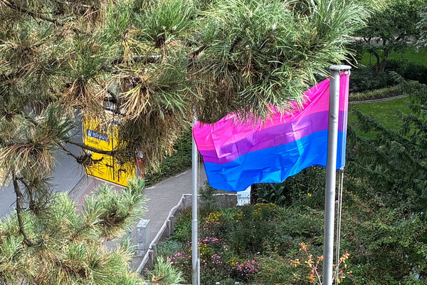 Flagge mit drei Querstreifen in den Farben Blau, Pink und Lila h&auml;ngt an einem Mast bei Wind.
