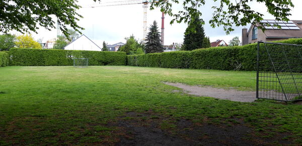 Eine Fußballwiese mit Toren, umgeben von einer Hecke.