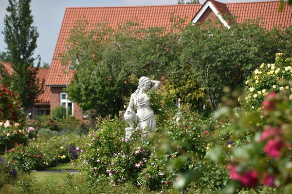 Eine weiße Frauenstatue steht zwischen blühenden Rosen in der Rosenzüchter Gärtnerei  Rosen Kordes in Klein Offenseth-Sparrieshoop.