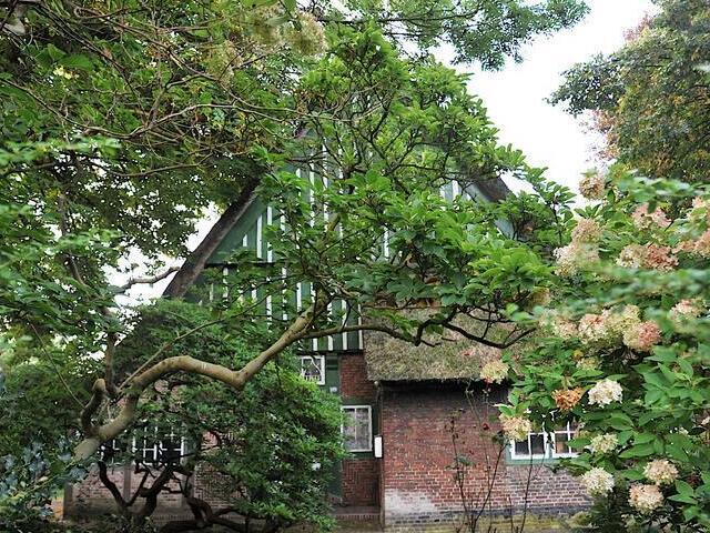 Vorderansicht eines historischen Hofgebäudes mit Spitzdach hinter grün bewachsenen Ästen.