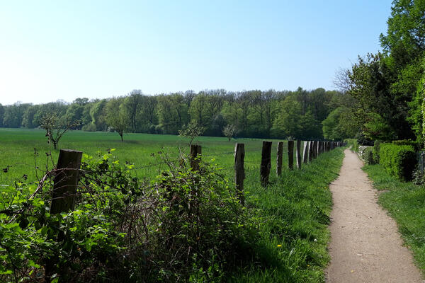 Der gerade Weg führt an einem Zaun entlang. Dahinter liegt eine grüne Wiese.